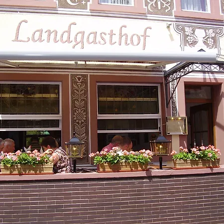 Landgasthof Germania 吕德斯海姆