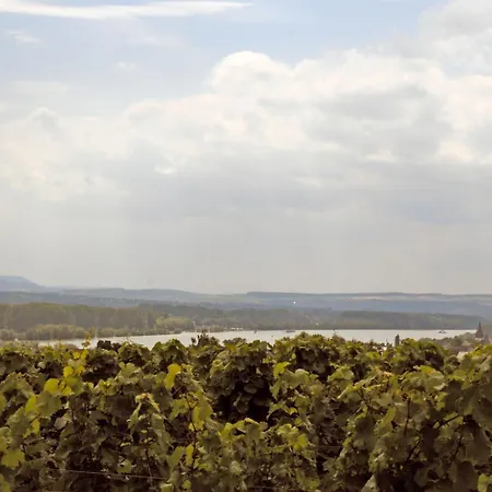 Landgasthof Germania Landhaus Rüdesheim am Rhein