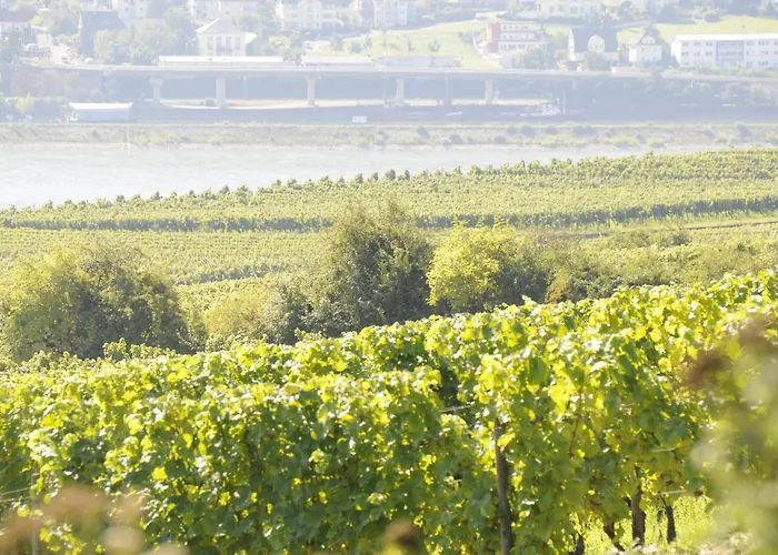 Landhuis Landgasthof Germania *