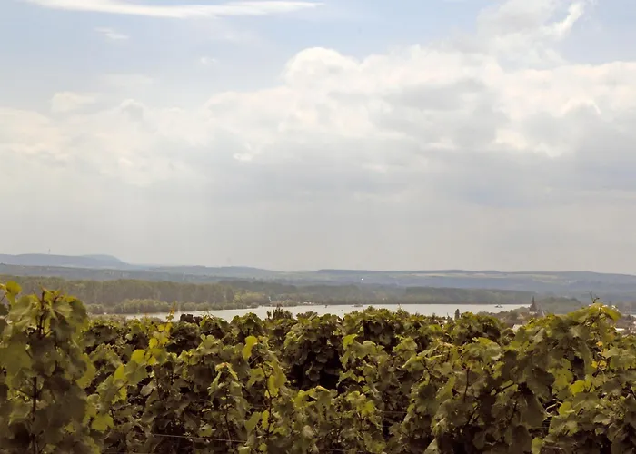 Landgasthof Germania Landhuis Rüdesheim am Rhein